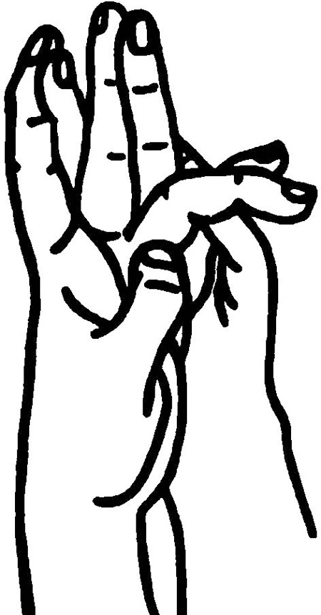 Иллюстрация к книге — Большая книга мудр. Йога для пальцев, которая даст здоровье, деньги и удачу [_210.jpg]