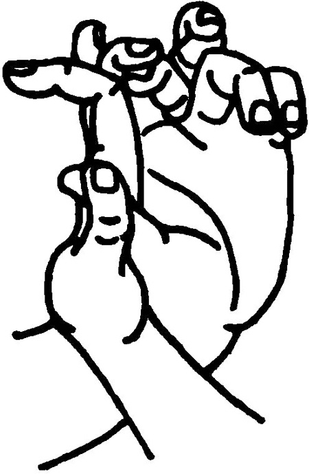 Иллюстрация к книге — Большая книга мудр. Йога для пальцев, которая даст здоровье, деньги и удачу [_211.jpg]