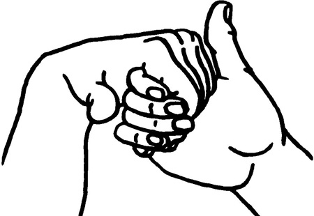 Иллюстрация к книге — Большая книга мудр. Йога для пальцев, которая даст здоровье, деньги и удачу [_2133.jpg]