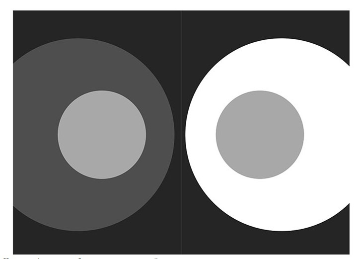 Иллюстрация к книге — Преломление. Наука видеть иначе [i_005.jpg]