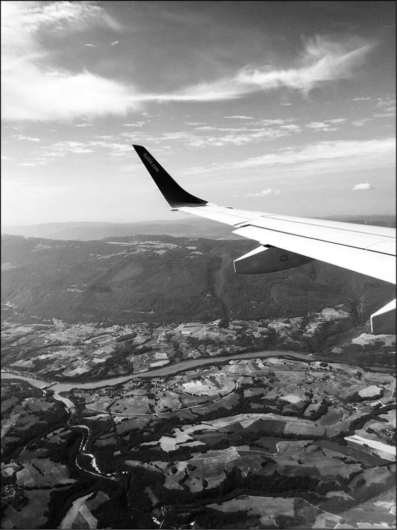 Иллюстрация к книге — Голубь с зеленым горошком [i_002.jpg]