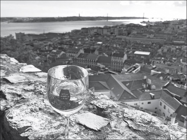 Иллюстрация к книге — Голубь с зеленым горошком [i_006.jpg]