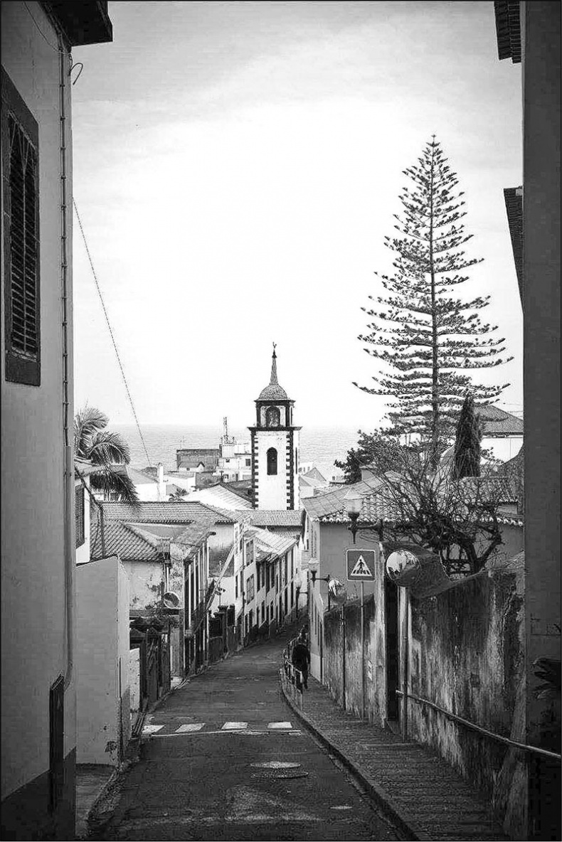 Иллюстрация к книге — Голубь с зеленым горошком [i_012.jpg]