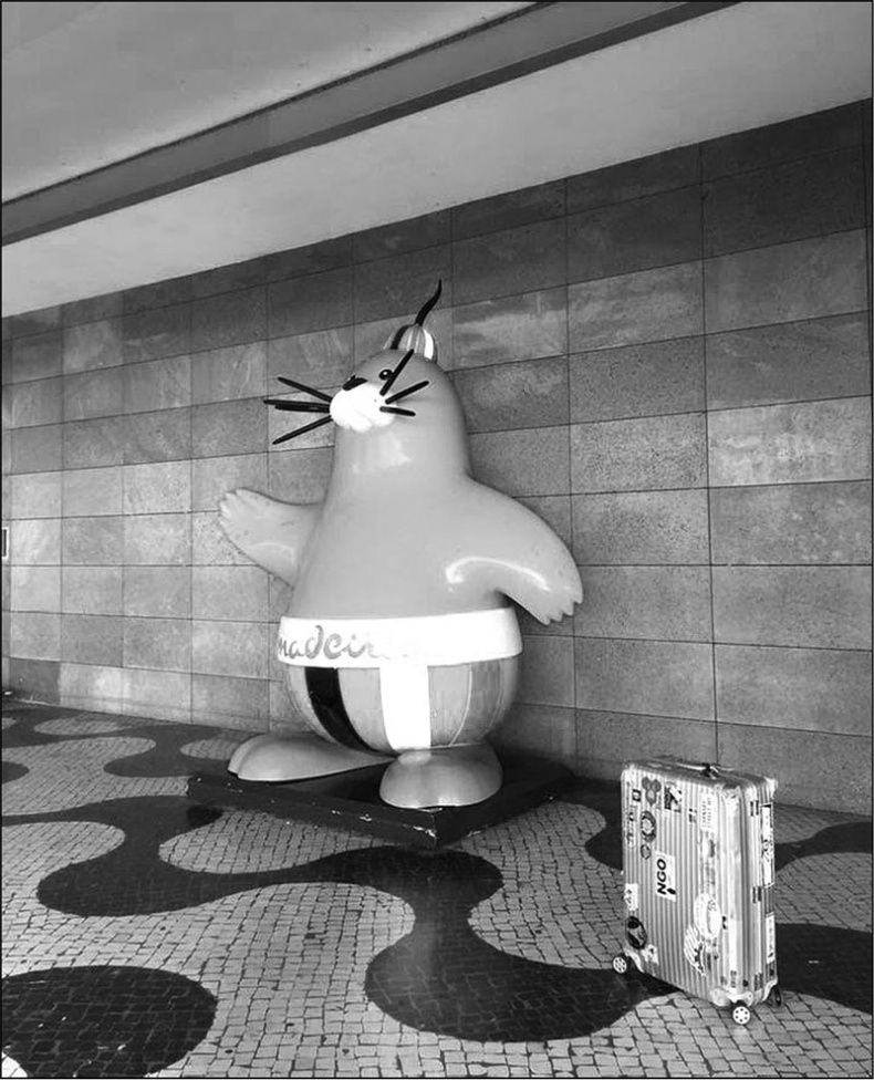 Иллюстрация к книге — Голубь с зеленым горошком [i_026.jpg]