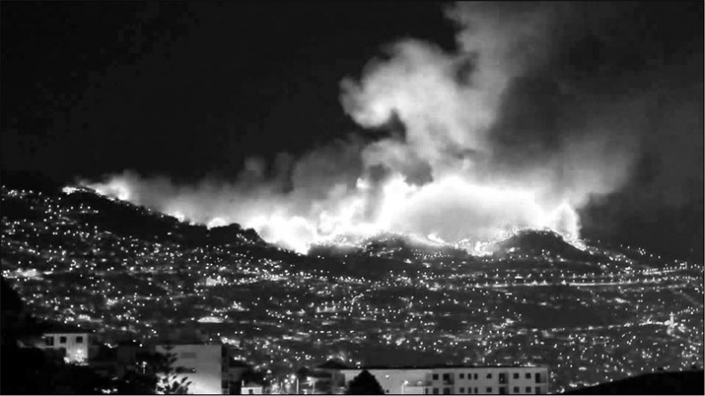 Иллюстрация к книге — Голубь с зеленым горошком [i_032.jpg]