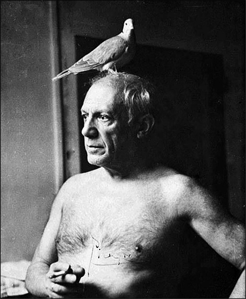 Иллюстрация к книге — Голубь с зеленым горошком [i_036.jpg]