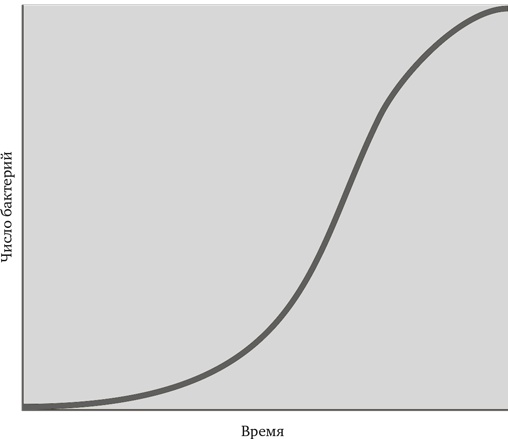 Иллюстрация к книге — Миллиарды и миллиарды. Размышления о жизни и смерти на рубеже тысячелетий [i_006.jpg]