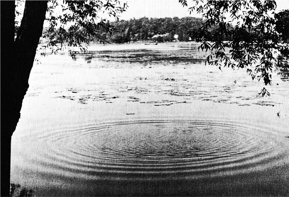 Иллюстрация к книге — Миллиарды и миллиарды. Размышления о жизни и смерти на рубеже тысячелетий [i_009.jpg]