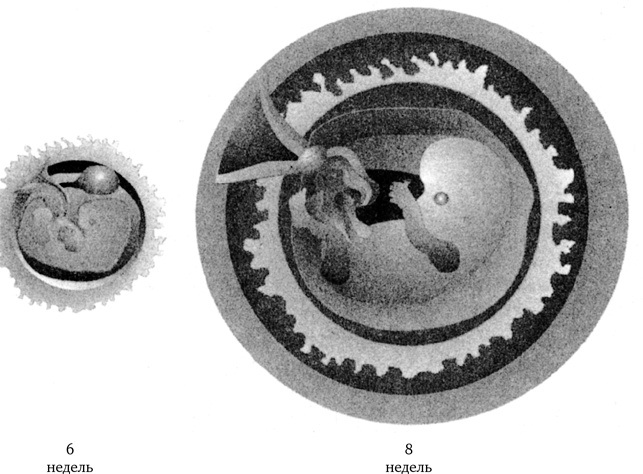 Иллюстрация к книге — Миллиарды и миллиарды. Размышления о жизни и смерти на рубеже тысячелетий [i_024.jpg]