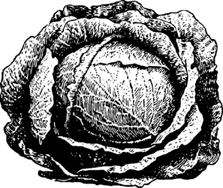 Иллюстрация к книге — Математика для гиков [i_005.jpg]