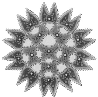 Иллюстрация к книге — Математика для гиков [i_006.jpg]