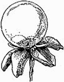 Иллюстрация к книге — Математика для гиков [i_010.jpg]