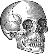 Иллюстрация к книге — Математика для гиков [i_073.jpg]