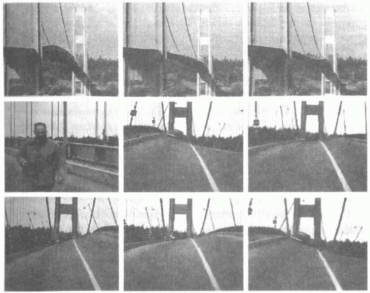 Иллюстрация к книге — Занимательное волноведение. Волнения и колебания вокруг нас [i_025.jpg]