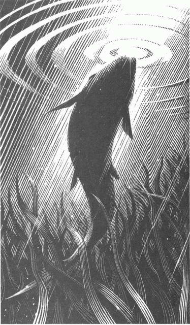 Иллюстрация к книге — Занимательное волноведение. Волнения и колебания вокруг нас [i_040.jpg]