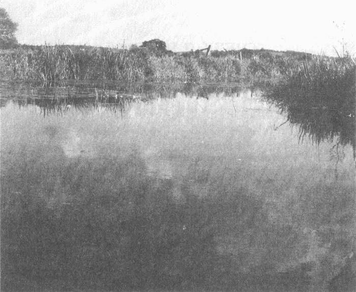 Иллюстрация к книге — Занимательное волноведение. Волнения и колебания вокруг нас [i_042.jpg]