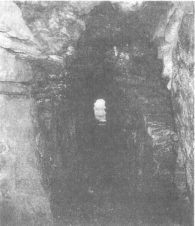 Иллюстрация к книге — Занимательное волноведение. Волнения и колебания вокруг нас [i_049.jpg]