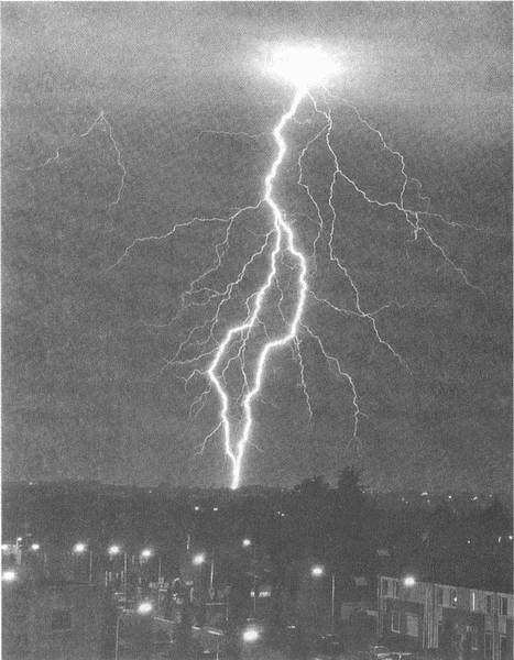 Иллюстрация к книге — Занимательное волноведение. Волнения и колебания вокруг нас [i_069.jpg]