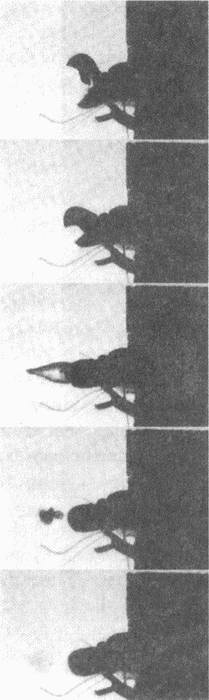 Иллюстрация к книге — Занимательное волноведение. Волнения и колебания вокруг нас [i_080.jpg]