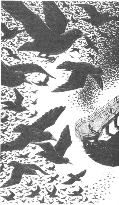 Иллюстрация к книге — Занимательное волноведение. Волнения и колебания вокруг нас [i_081.jpg]