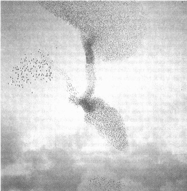 Иллюстрация к книге — Занимательное волноведение. Волнения и колебания вокруг нас [i_086.jpg]