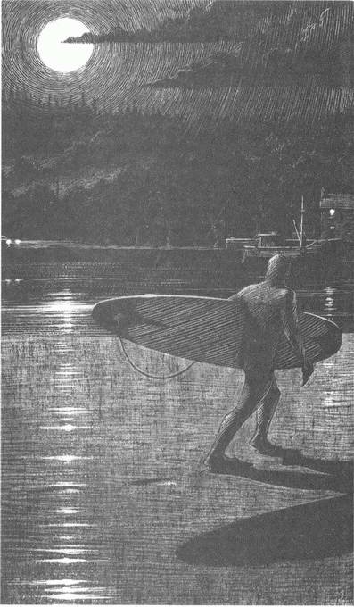 Иллюстрация к книге — Занимательное волноведение. Волнения и колебания вокруг нас [i_089.jpg]