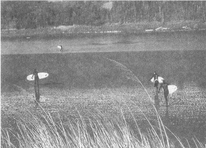 Иллюстрация к книге — Занимательное волноведение. Волнения и колебания вокруг нас [i_101.jpg]