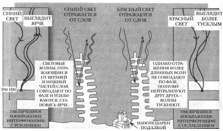 Иллюстрация к книге — Занимательное волноведение. Волнения и колебания вокруг нас [i_112.jpg]