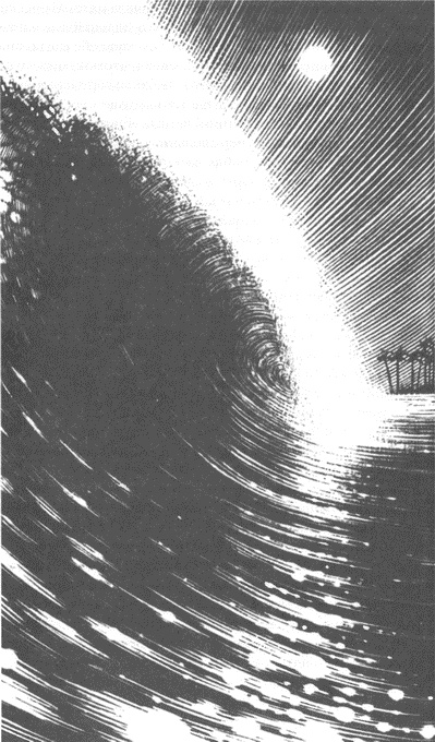 Иллюстрация к книге — Занимательное волноведение. Волнения и колебания вокруг нас [i_119.jpg]