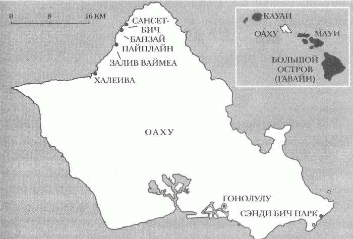 Иллюстрация к книге — Занимательное волноведение. Волнения и колебания вокруг нас [i_125.jpg]