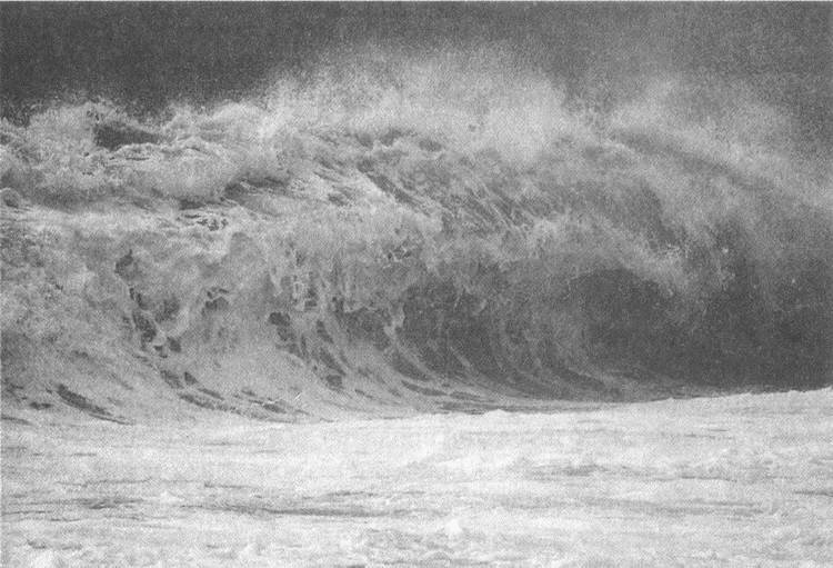 Иллюстрация к книге — Занимательное волноведение. Волнения и колебания вокруг нас [i_126.jpg]