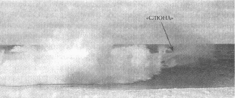 Иллюстрация к книге — Занимательное волноведение. Волнения и колебания вокруг нас [i_132.jpg]