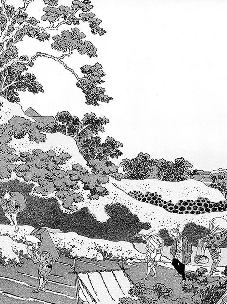 Иллюстрация к книге — Чайная церемония в Японии [autogen_ebook_id5.jpg]