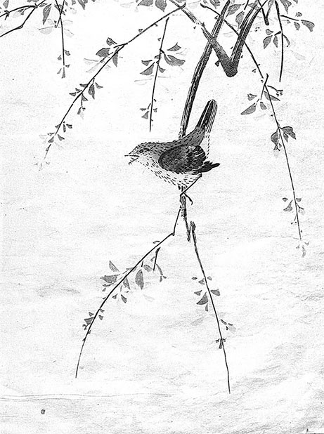 Иллюстрация к книге — Чайная церемония в Японии [autogen_ebook_id6.jpg]