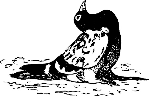 Иллюстрация к книге — Занимательная физиология [i_003.jpg]