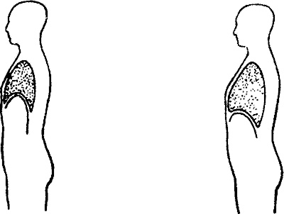 Иллюстрация к книге — Занимательная физиология [i_011.jpg]