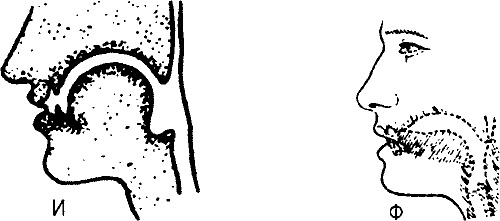 Иллюстрация к книге — Занимательная физиология [i_015.jpg]