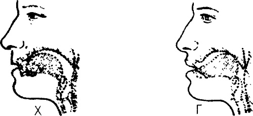 Иллюстрация к книге — Занимательная физиология [i_016.jpg]