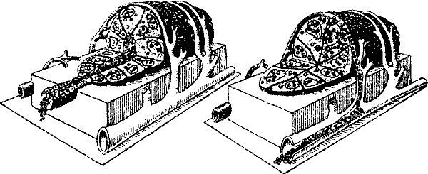 Иллюстрация к книге — Занимательная физиология [i_022.jpg]