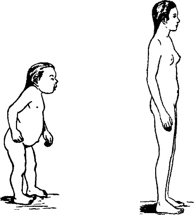 Иллюстрация к книге — Занимательная физиология [i_024.jpg]