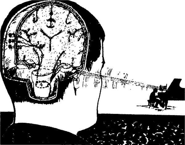 Иллюстрация к книге — Занимательная физиология [i_033.jpg]