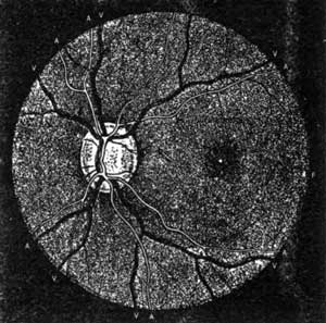 Иллюстрация к книге — Занимательная физиология [i_045.jpg]