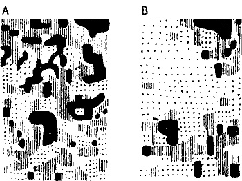 Иллюстрация к книге — Занимательная физиология [i_059.jpg]