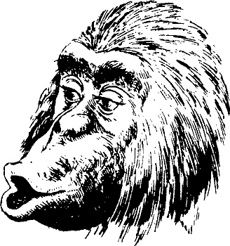 Иллюстрация к книге — Занимательная физиология [i_063.jpg]