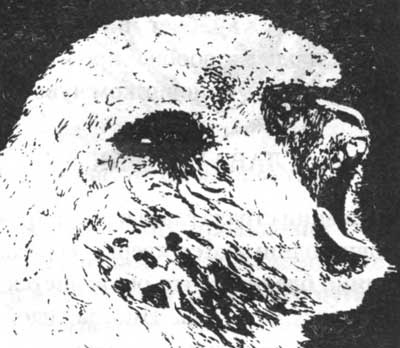 Иллюстрация к книге — Занимательная физиология [i_068.jpg]