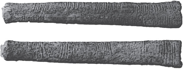 Иллюстрация к книге — Большой роман о математике. История мира через призму математики [_18.jpg]