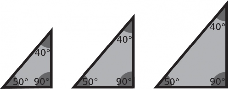 Иллюстрация к книге — Большой роман о математике. История мира через призму математики [_62.jpg]
