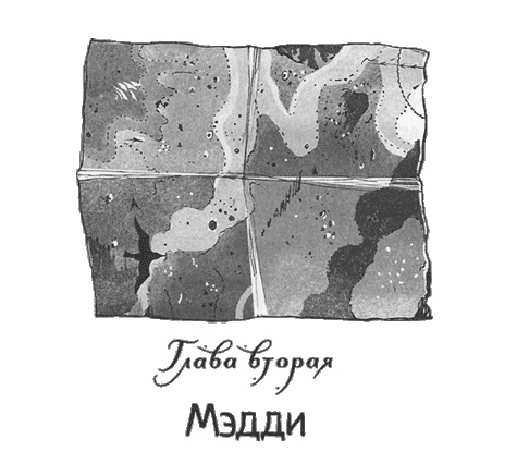 Иллюстрация к книге — Дом из зеленого стекла [i_004.jpg]