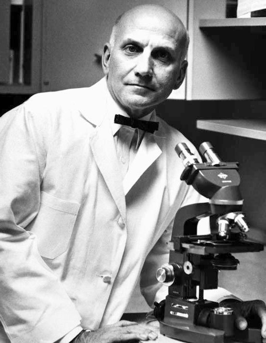 Иллюстрация к книге — Мастера секса. Жизнь и эпоха Уильяма Мастерса и Вирджинии Джонсон – пары, которая учила Америку любить [i_018.jpg]