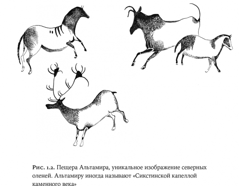 Иллюстрация к книге — Люди и звери. Мифы и реальность [i_005.jpg]